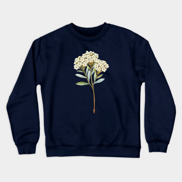 Nature Vintage Botanical Cream Flower Plant Watercolor Art Crewneck Sweatshirt by Spirit Animals 21